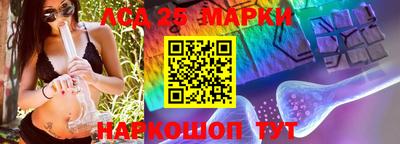 гидра Бийск