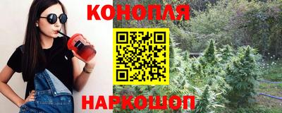 гидра Бийск