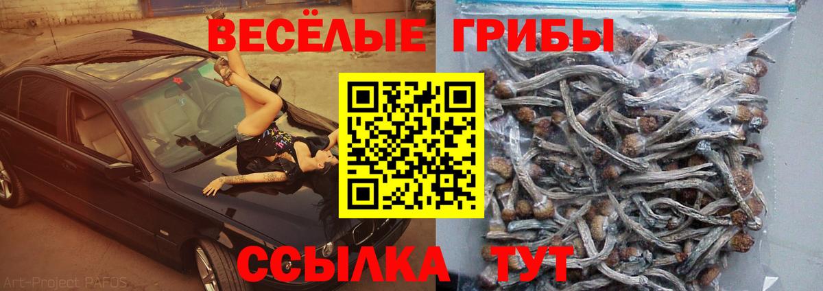 Псилоцибиновые грибы Cubensis Выкса