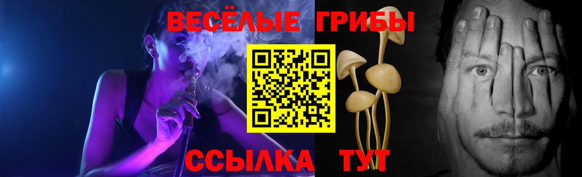 Псилоцибиновые грибы Magic Shrooms  Выкса 